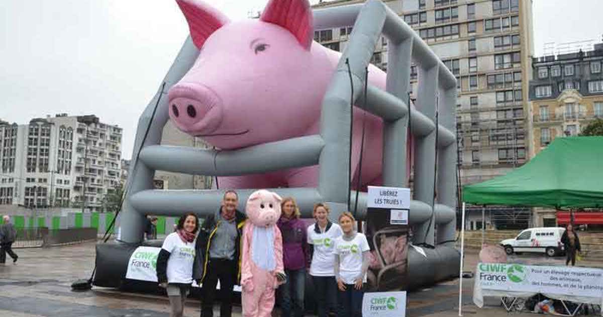 le-cochon-g-ant-de-ciwf-investit-paris-pour-alerter-sur-les-conditions