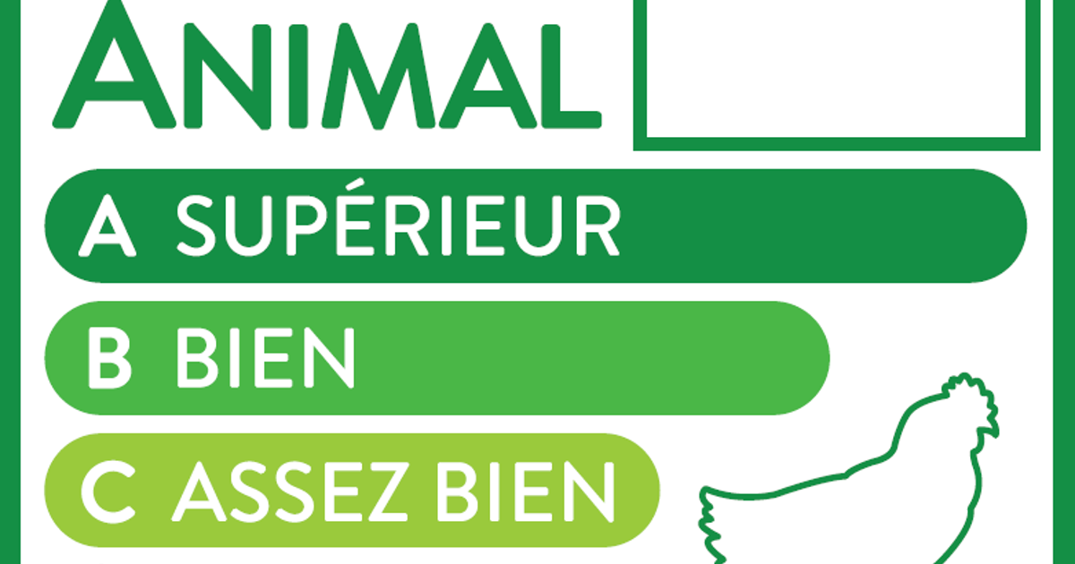 Le Groupe Casino Lance Le Premier tiquetage Sur Le Bien tre Animal En le-groupe-casino-lance-le-premier-tiquetage-sur-le-bien-tre-animal-en