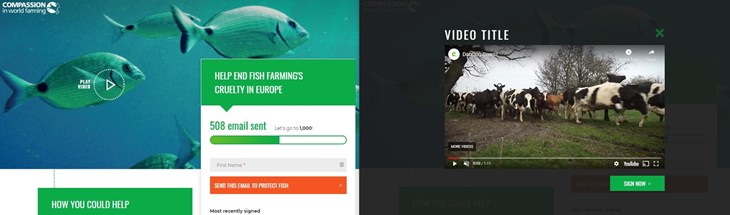 Video Background Front End