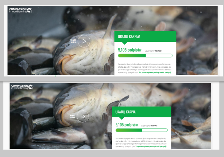 Image Vertical Alignment Action
