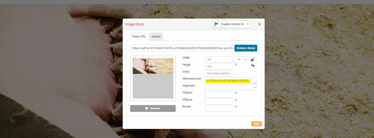 Action Background Image