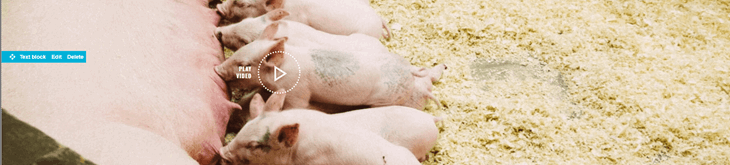 Action Video Pop Up Text Block