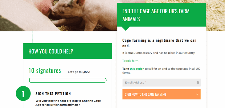 Progress Bar In Lh Column