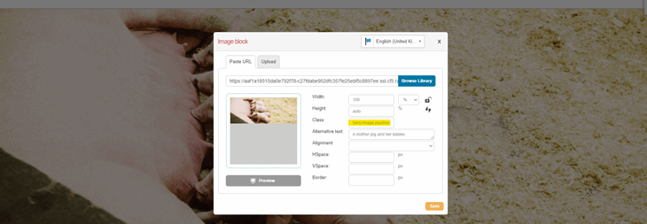 Action Thank You Background Image