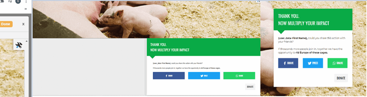 Action Thank You Page