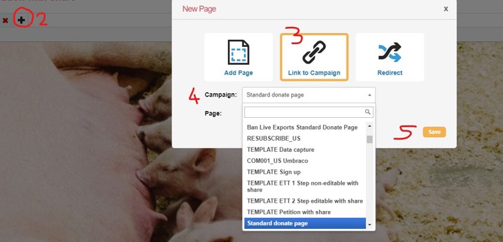 Add Redirect Page