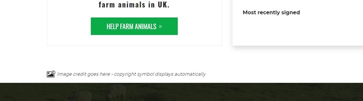 Image Credit on Action pages