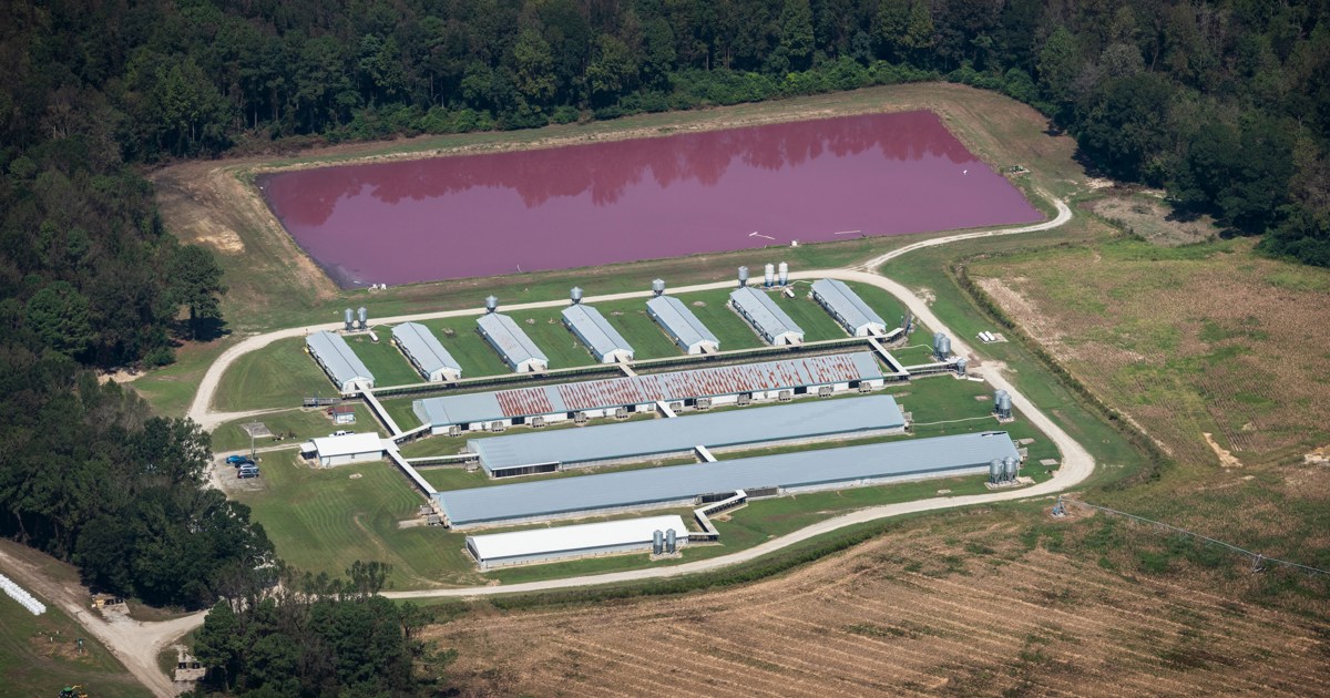 Mega Farm No New Mega Farms