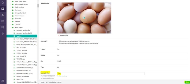 Screenshot of Umbraco where to add alt text to an image