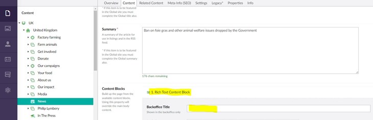 Screenshot of where to add Back Office title in Umbraco