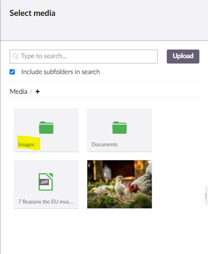 Umbraco screenshot of image folder