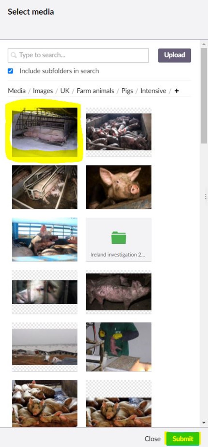 Umbraco screenshot of choosing image highlighted and submit button
