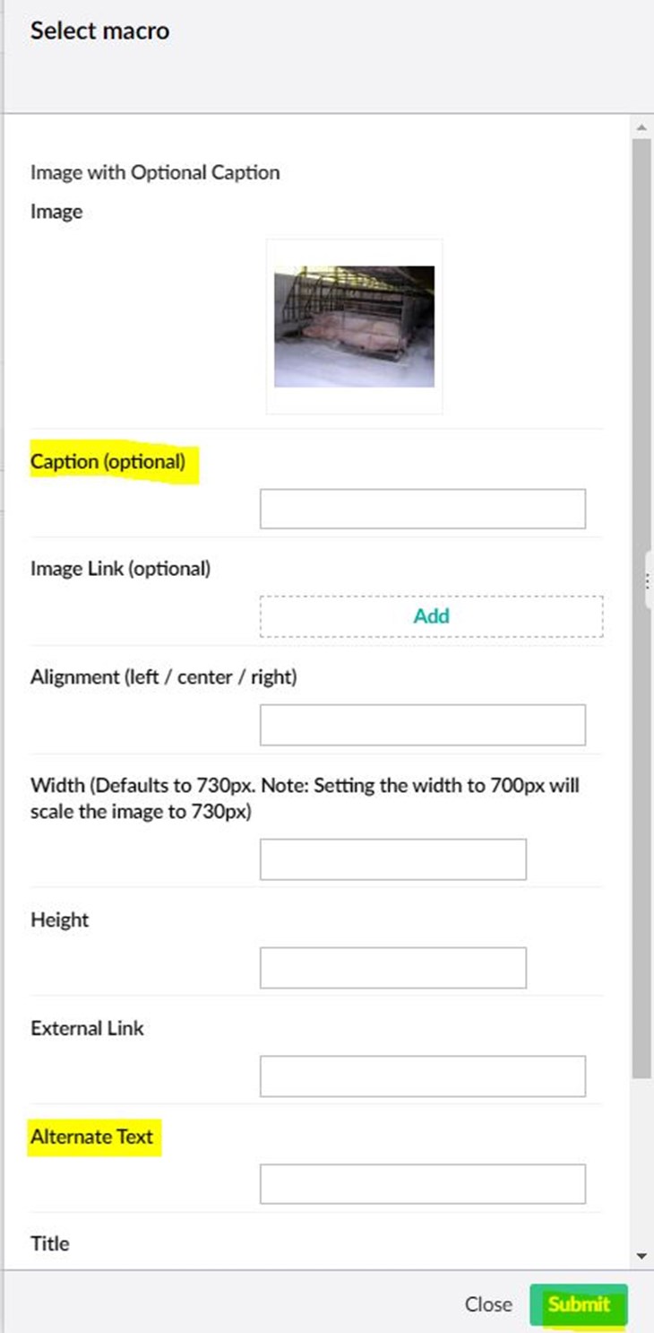 Umbraco screenshot of adding a caption to image and alt text