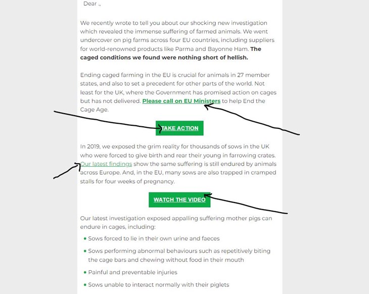 Screenshot of Dot Digital alternating links in an email