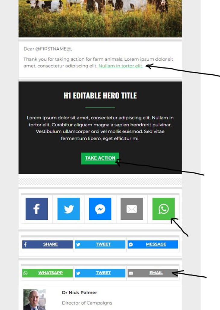 screenshot of an email in Dot Digital showing different ways of incorporating links into an email.
