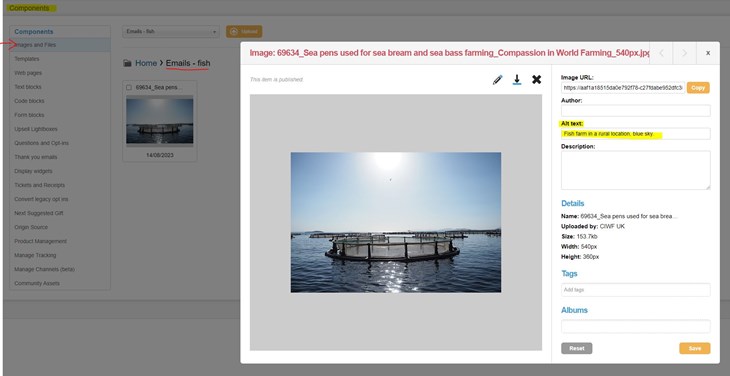 EN image in image library