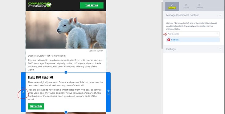 Engaging Networks Dynamic Content