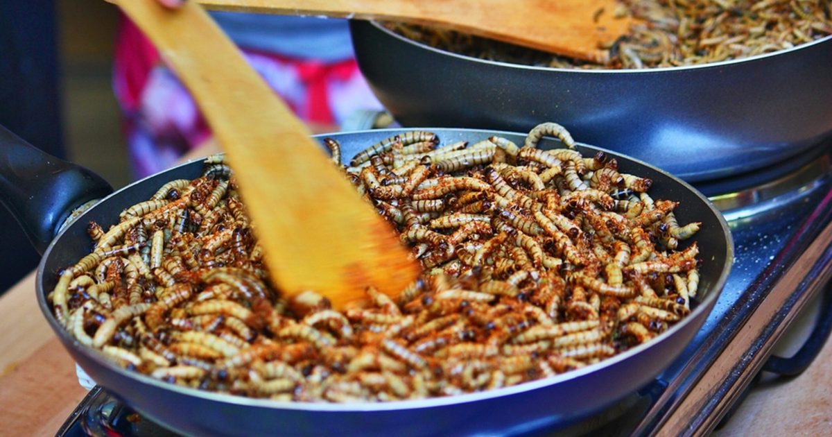 Por qué comer insectos no salvará el planeta