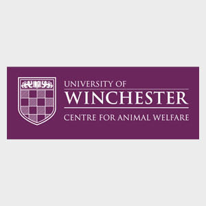 University of Winchester logo